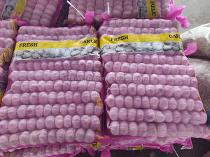 Nuovo raccolto fresco normale aglio bianco piccolo pacchetto prezzo all'ingrosso - Product Image 6