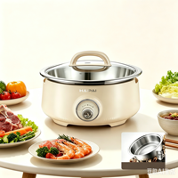 Casserole multifonction de haute qualité sans revêtement, en acier inoxydable 304, capacité de 5 L, casserole électrique pour usage domestique, OEM
