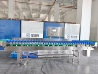 Automatische Sorteermachine Voor Appelananas-Aardappelfruit