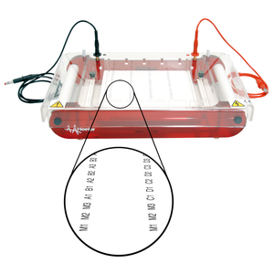 होफर प्रयोगशाला मिनी पनडुब्बी क्षैतिज आगोरेली जेल इलेक्ट्रोफोरेसिस यूनिट बायोमोलेक्यूल्स डाना न्यूक्लिक एसिड इलेक्ट्रोफोरेसिस - Product Image 6