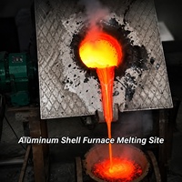 Four de fusion en acier inoxydable pour aluminium, cuivre, plomb, nickel, étain, titane, zinc, laiton, bronze, avec creusets et fours