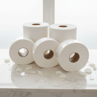 Papier toilette jumbo écologique soluble dans l'eau, rouleaux personnalisables pour les toilettes publiques