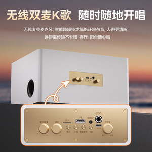 Base d'enceinte karaoké avec deux microphones 405x320x225 pour usage domestique, bibliothèque de chansons, alimentation Type C - Product Image 4