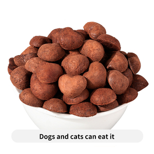 Friandises pour animaux de compagnie à base de sang lyophilisé riches en protéines, friandises de haute qualité pour chats, chiens et lapins, aliments santé OEM, amélioration de l'immunité, 100 g, nourriture pour chats - Product Image 1