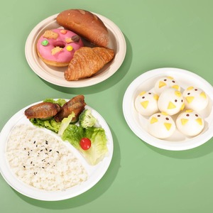 9 Inch Biodegradable Disposable Sugarcane Eco Plates 100% Compostable and Unbleached for Party and Wedding Events