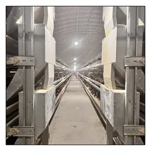 H tipo 4 niveles puesta de huevos 20000 gallinas capa batería automática jaula de pollo para la cría de aves de corral en China