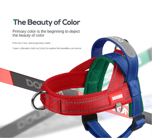 Laisse pour chien, laisse pour petit chien, laisse pour chien Dou Fashion, sangle de poitrine solide pour l'extérieur, rembourrage en polyester anti-explosion, bouton, laisse pour chien - Product Image 5