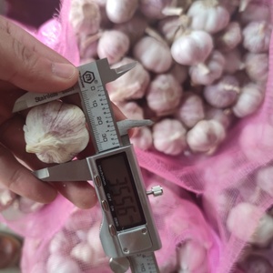<span class=keywords><strong>Vendita</strong></span> calda della fabbrica 3.0-4.5cm normale bianco fresco aglio bulbi alla rinfusa per la <span class=keywords><strong>vendita</strong></span> di esportazione in Congo - Product Image 5