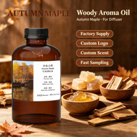 Huile aromatique liquide Crearoma Automne Érable 2026 – Parfums de luxe inspirés pour hôtels, compatible avec tous les diffuseurs, 500 mL