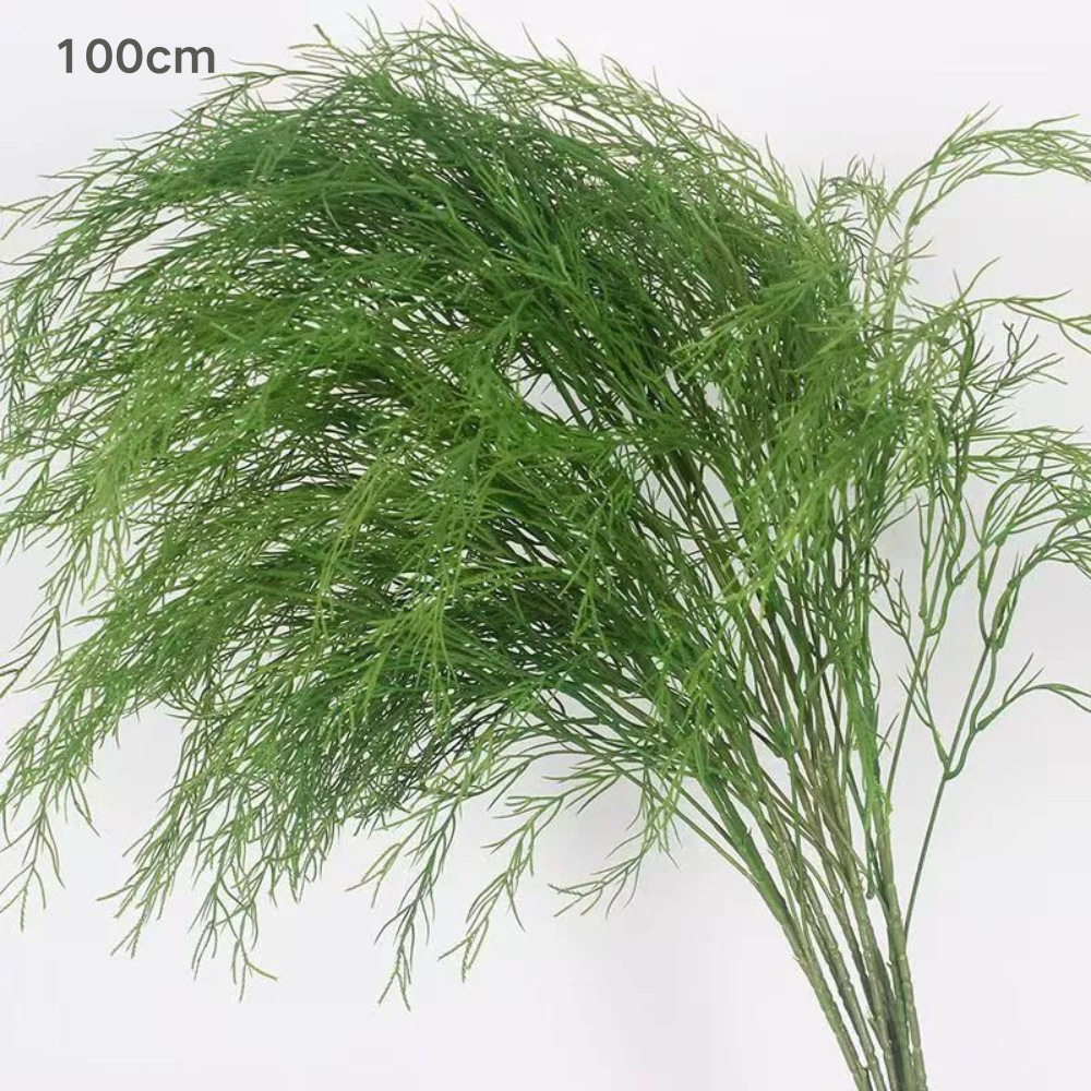 Hierba de barba de dragón de cinco puntas