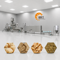 Linea di Produzione per Proteine Vegetali Estruse (TVP/TSP), Macchina per la Produzione di Nuggets e Pezzi di Proteine di Soia