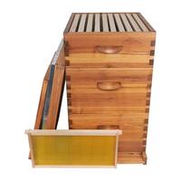 Nouvelle ruche Langstroth complète à 3 niveaux, 10 cadres, en bois de sapin enduit de cire d'abeille, kit de démarrage de ruche avec cadres