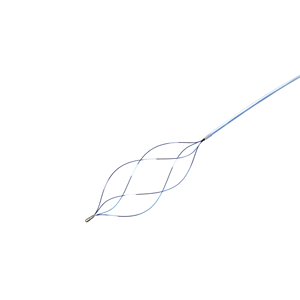 उच्च गुणवत्ता वाले एकल-उपयोग यूरोलॉजी संपादन डिस्पोजेबल एंडोस्कोपिक पत्थर पुनर्प्राप्ति टोकरी एकल उपयोग एंडोस्कोपिक पत्थर निष्कर्षण टोकरी - Product Image 5