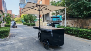 Tricycle mobile pour la vente de crème glacée Etodevice, chariot personnalisé à trois roues pour les événements en plein air - Product Image 6