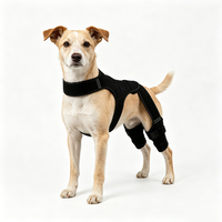 Attelle Orthopédique Réglable pour Chiens : Soutien Double pour les Pattes Arrière, Idéale pour la Rééducation Post-Opératoire et la Récupération des Blessures - Vente en Gros
