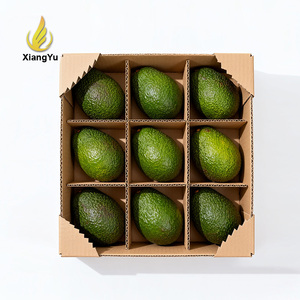 Màu Sắc Sóng In Ấn Các Tông Khay Hộp Tươi Bơ Vận Chuyển Carton Có Thể Tái Chế Đóng Gói Hiển Thị Hộp Cho Trái Cây Rau - Product Image 2