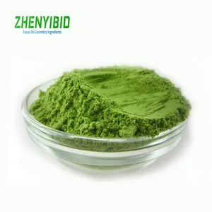 ZHENYIBIO Bulk10 %-98% 橄榄叶提取物价格纯羟基酪醇