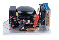 Unit Pendingin Otomatis Mini Kompresor Kondensor Refrigerasi Mobile Freezer -20C 8C R-410A/R-404A Kompatibilitas 110V/220V