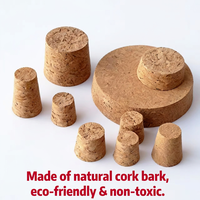 DINGYE Bouchons en liège coniques réutilisables, hermétiques, de qualité alimentaire, écologiques, multi-tailles, pour diffuseurs et cosmétiques, vente en gros