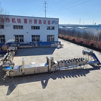 DY Bananenchipsmachine Snijmachine Productielijn 150/260/300/500kg/u SUS 304 Plantainchips Productielijn voor Nieuwe Start