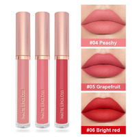 Vente en gros de brillant à lèvres en vrac logo personnalisé naturel bio cosmétiques maquillage brillant à lèvres marque privée haute Pigment teinte tache brillant à lèvres