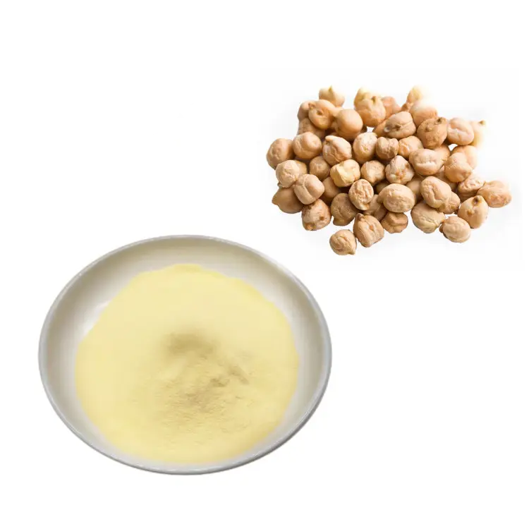 Nutretch Organic Chickpea Garbanzo Sprout Flour