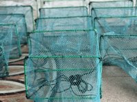 Piège à poissons de haute qualité en Chine, 22 cm * 35 cm * 31 sections, cage à poissons, piège d'aquaculture Dragon Bubu pour les poissons