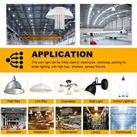 Ampoules LED Corn USA/Canada en stock 60W 100W 150W 250W 300W E26 E27 E40 E39 Ampoules LED Corn 30W Lampe LED Corn Extérieure