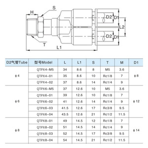 Negus ขั้วต่อแบบเร็วนิวเมติก Rc1/4 M5สำหรับเครื่องมือเป่าลม Qtpx8-02 - Product Image 1