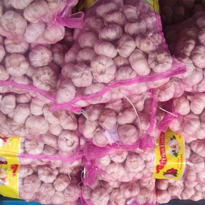 2025, la cantidad al por mayor más vendida, suministro de verduras, <span class=keywords><strong>ajo</strong></span> rojo fresco nutritivo natural del fabricante de origen egipcio - Product Image 3