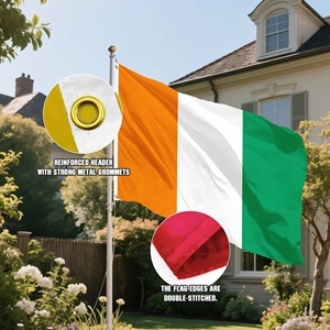 Banderas Promocionales Publicitarias de 90x150cm, Bandera Personalizada de Costa de Marfil, Bandera Nacional de Costa de Marfil, Poliéster 100D - Product Image 5