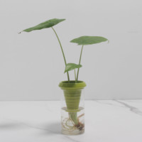 Maceta Moderna Minimalista Ligera para Plantas Verdes, Decorativa para el Hogar, Hidropónica, de Porcelana Esmaltada, con Autorriego, para Mesa
