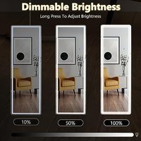 Miroir sur pied de pleine longueur avec cadre fin blanc de 64 x 21 pouces avec lumières LED Miroir en alliage d'aluminium pour salon