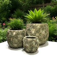 Jardinières rustiques en ciment vintage, durables et écologiques, pour plantes succulentes, décoration de jardin intérieur et extérieur, design circulaire, pots à fleurs