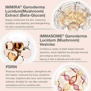 Produits de soin naturels fabriqués à Taïwan, masque réparateur aux vésicules de Ganoderma Lucidum, masque visage pour la réparation de la peau - Product Image 4