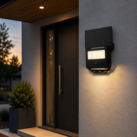 Projecteur LED mural de jardin à angle réglable, à induction humaine, à intensité variable et télécommandé