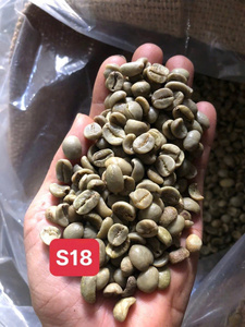 Venta al por mayor de granos de café verde orgánico no transgénico de Vietnam Arabica, calibre 16, a granel, tostado, calidad estable - Product Image 3