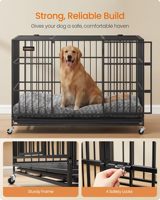 Cage pour chien robuste, cage pliable pour chien avec roues verrouillables, double porte, fond fixe anti-évasion, plateau amovible