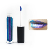 Caméléon – gloss à lèvres liquide mat, maquillage à haute teneur en pigments, longue tenue, imperméable, marque privée, fournisseur d'usine