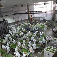 LWT Volledig Automatische Hoge Efficiëntie Geconserveerde Bonen Snoep Groente/Fruit Productielijn Verwerkingscapaciteit 1~60 Ton