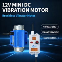Vibrateur sans balais 12V DC compact pour massage - Moteur à vibrations - Offre spéciale