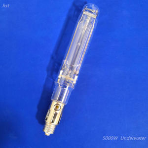 T70 5000w metal halide fishing light underwater deep sea luring <strong>fish</strong> lamp wholesale <strong>price</strong> manufacturer - Product Image 2