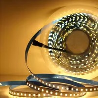 Bande LED intelligente monocouleur pour extérieur, IP20, télécommande, 120 LED, effet d'eau courante, contrôleur 24V