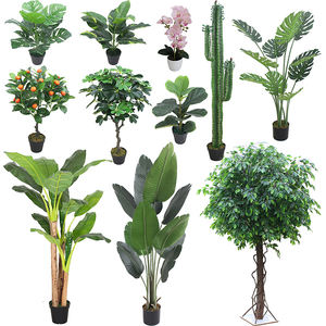 ต้นไทร/เบนจามินประดิษฐ์ราคาประหยัดสำหรับตกแต่ง - Product Image 6