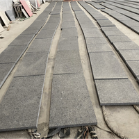 Prix promotionnel d'escalier de comptoir de dalle de granit gris acier