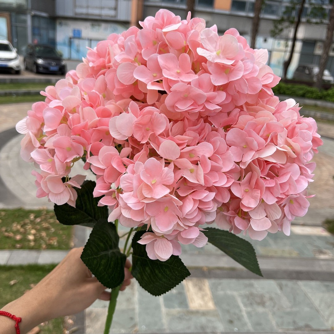 pale pink