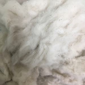 Fibra de desecho de algodón con mosca de tarjeta | Residuos de molino de hilado de algodón para material de hilo hilado de la industria textil _ Sra. Min - Product Image 1