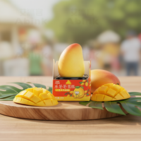 Crème glacée Abink's Happy Mango, chocolat crémeux, mangue fruitée, fraise, pêche, citron, lait. 3D Sharp. Congeler à -18°C. Pratique