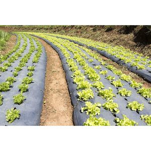 Plastic Sheeting Roll 4 Mil 20x100 Black For Painting <b>Tarp</b> Mulch Weed Barrier Concrete Moisture Vapor - Product Image 5