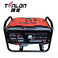 Générateur portable 2500W - 230V AVR, autonomie de 12 heures, certifié CE pour une utilisation domestique et dans le secteur de la construction